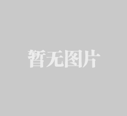 移動式皮帶輸送機(jī)